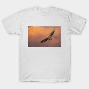 Juvenile Bald Eagle in Flight T-Shirt